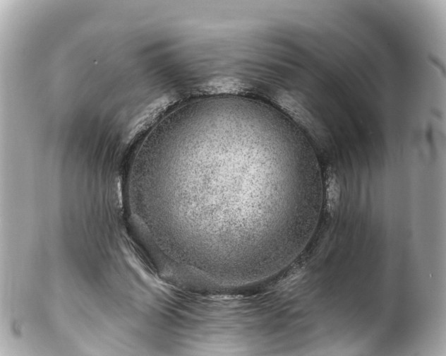 X0000102510254200808151554