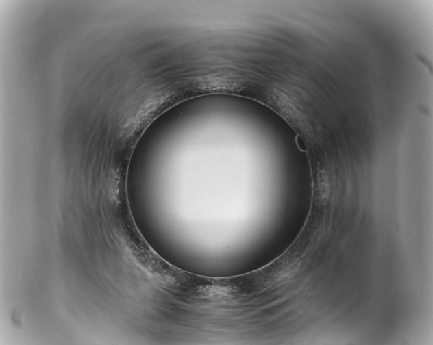 X0000102510255200808151554