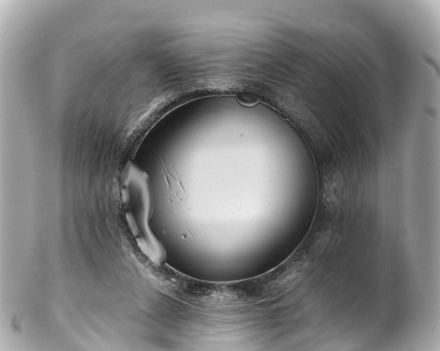 X0000102510256200808151554