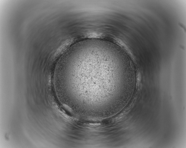 X0000102510257200808151554