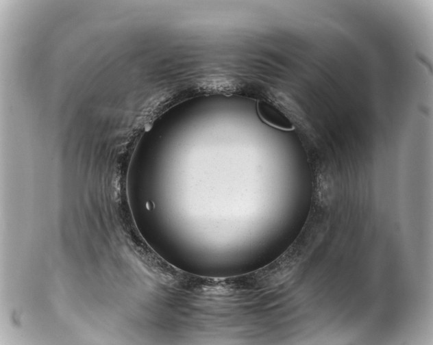X0000102510259200808151554