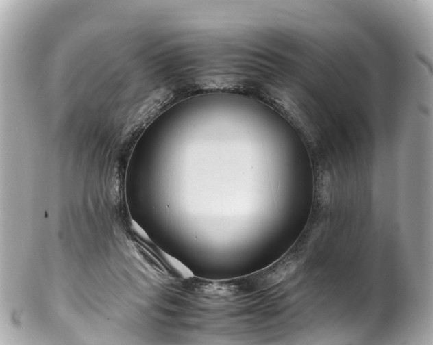X0000102510261200808151554