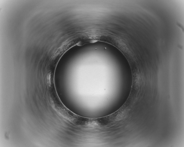 X0000102510262200808151554