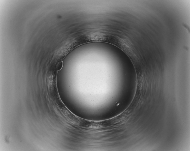 X0000102510263200808151554