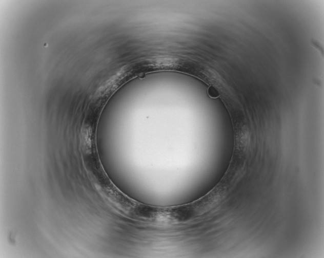 X0000102510264200808151554