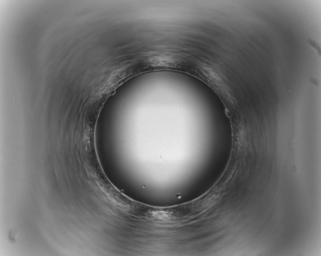 X0000102510265200808151554