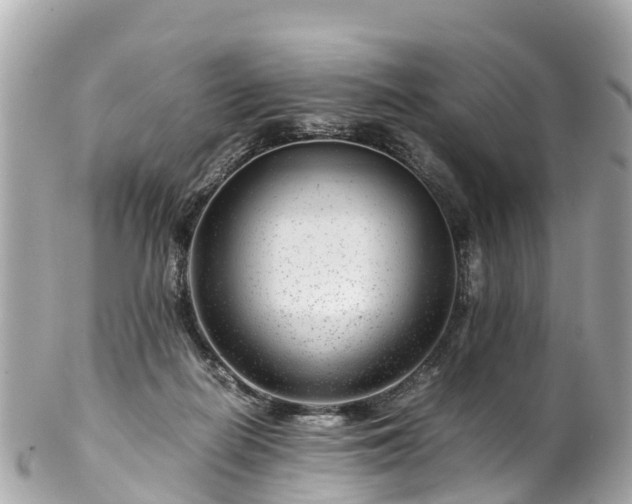 X0000102510266200808151554
