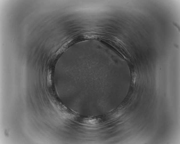 X0000102510267200808151554