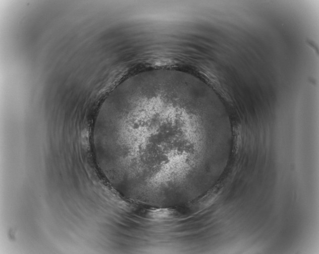 X0000102510269200808151554