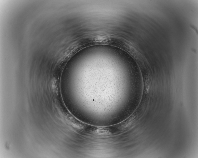 X0000102510270200808151554