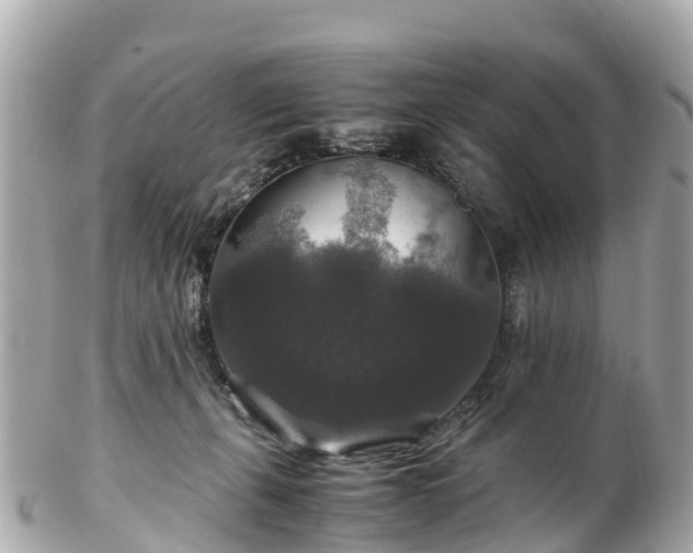X0000102510271200808151554