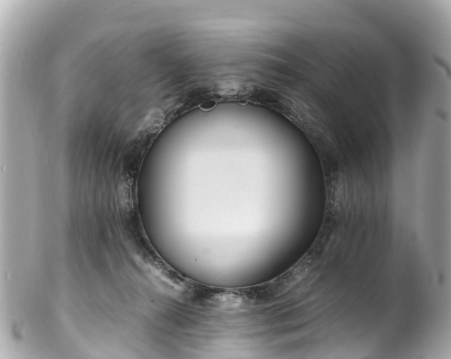 X0000102510272200808151554
