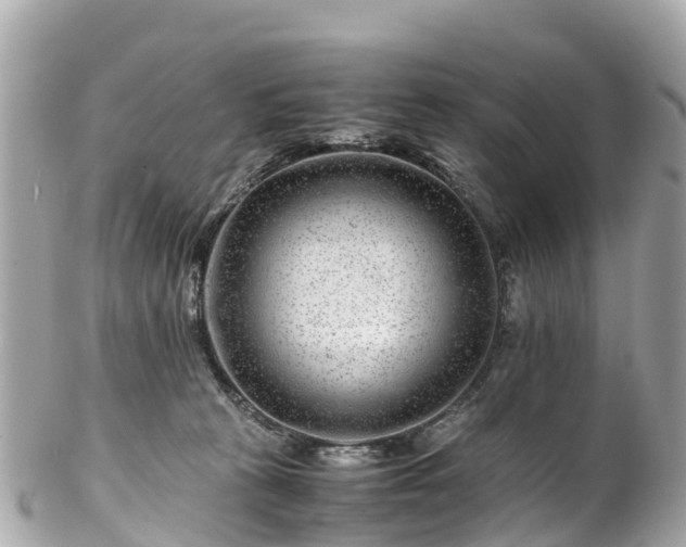 X0000102510273200808151554