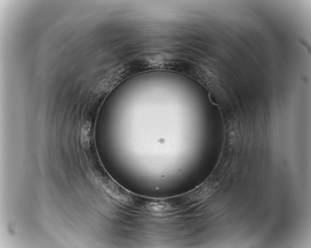 X0000102510275200808151554