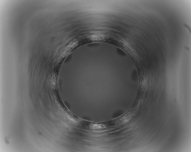 X0000102510277200808151554