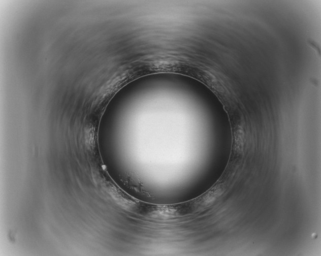 X0000102510278200808151554