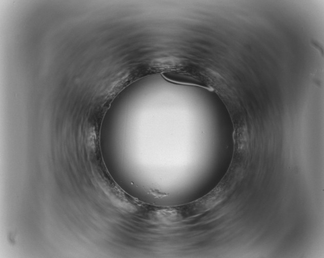 X0000102510279200808151554