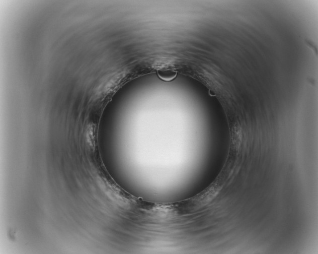 X0000102510280200808151554