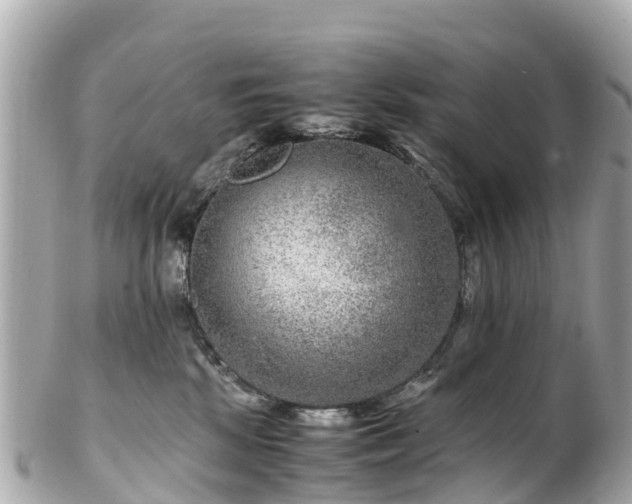 X0000102510281200808151554