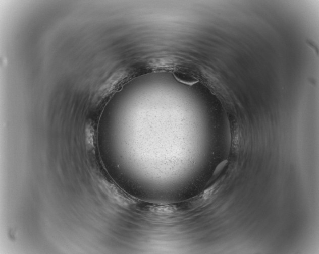 X0000102510282200808151554
