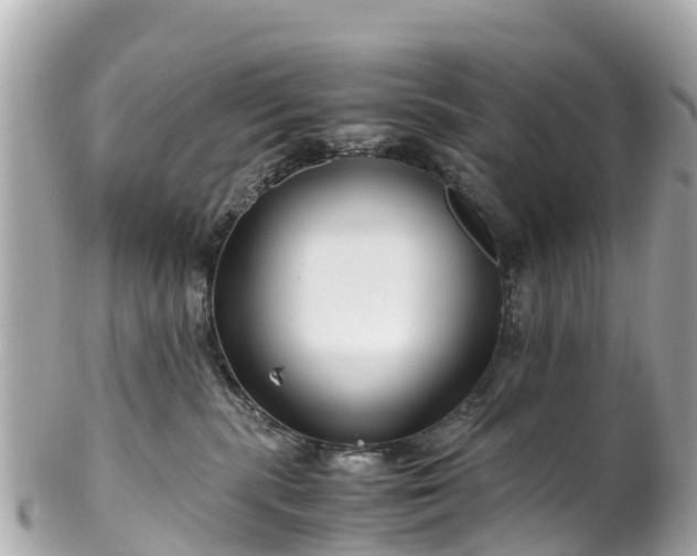 X0000102510283200808151554