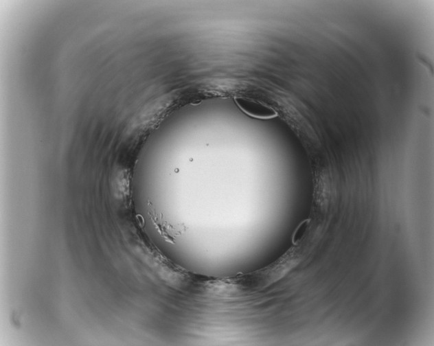 X0000102510284200808151554