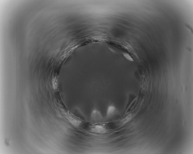 X0000102510285200808151554