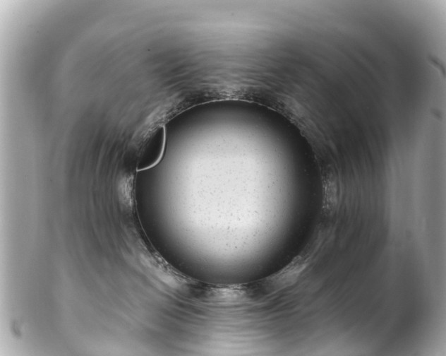 X0000102510286200808151554