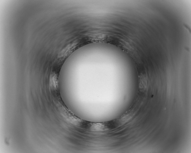 X0000102510287200808151554