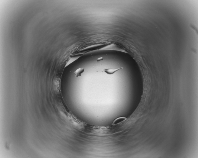 X0000102510288200808151554