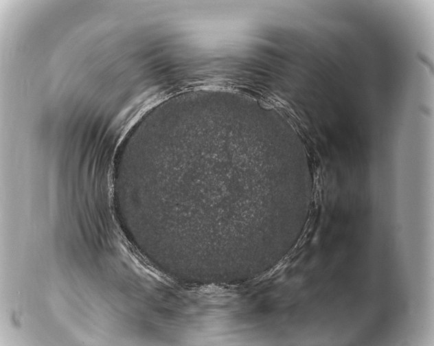 X0000102510290200808151553