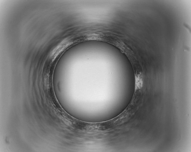 X0000102510291200808151553