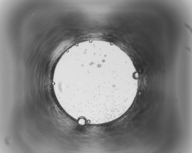 X0000102510293200808151553