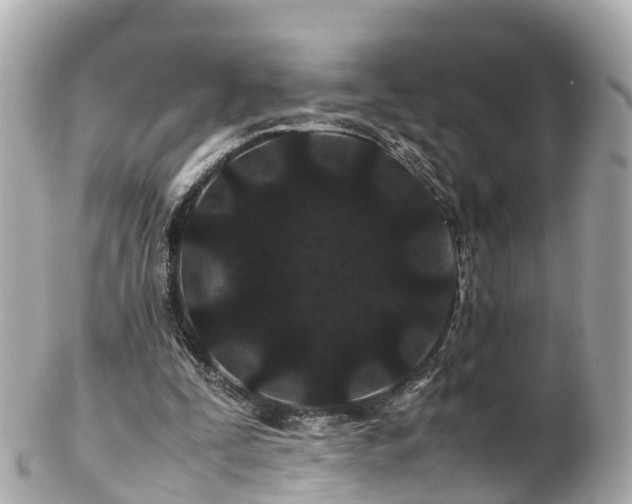 X0000102510295200808151553