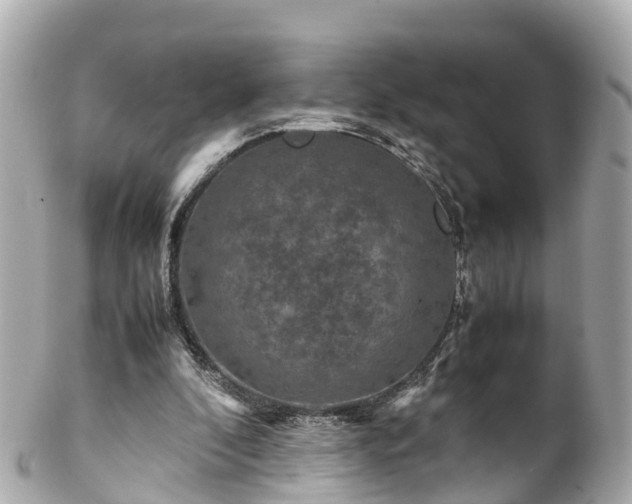 X0000102510296200808151553