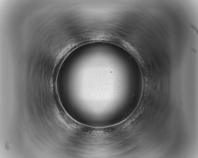 X0000102510298200808151553