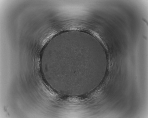 X0000102510299200808151553