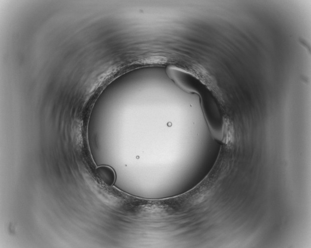 X0000102510300200808151553