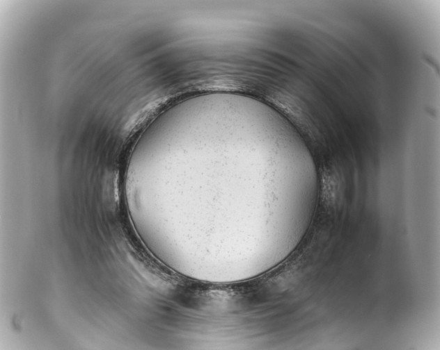 X0000102510302200808151553