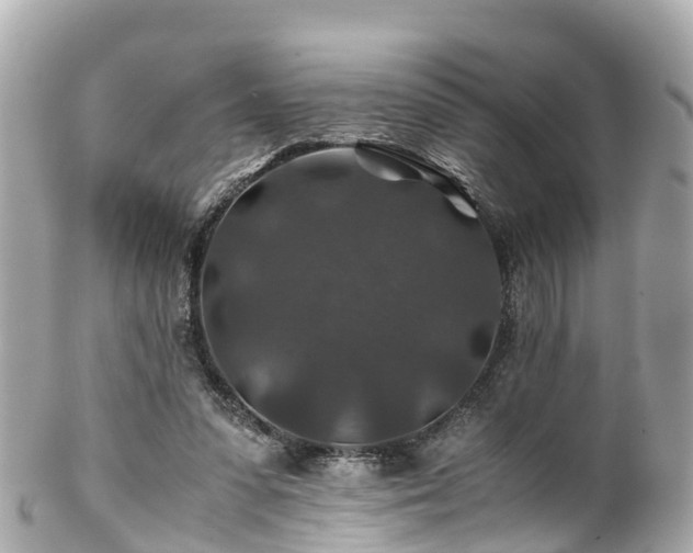 X0000102510303200808151553