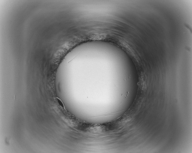 X0000102510307200808151553