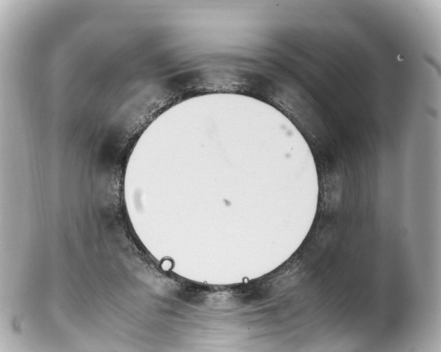 X0000102510309200808151553