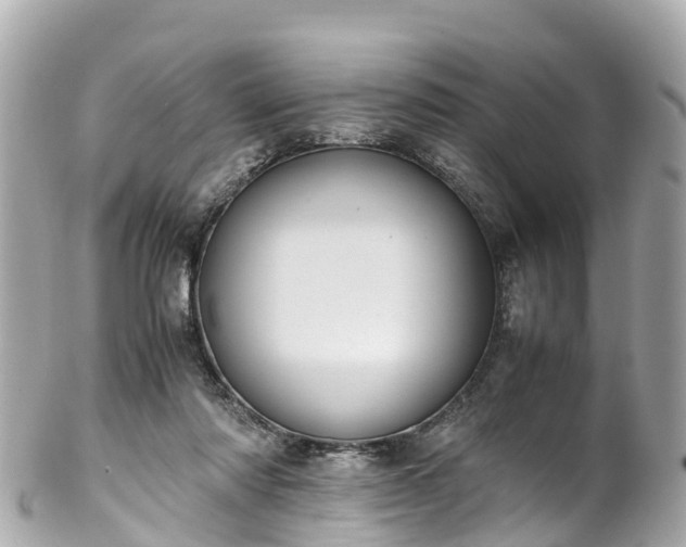 X0000102510310200808151553