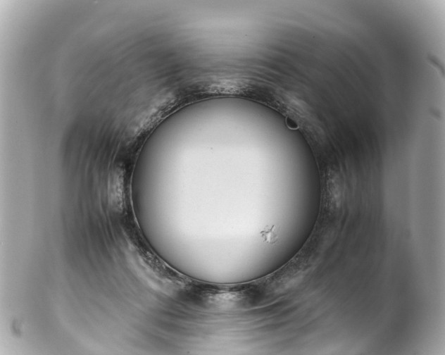 X0000102510312200808151553