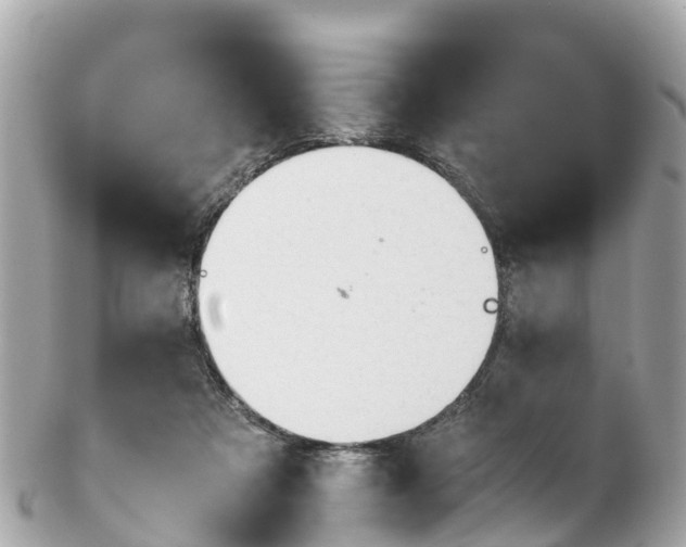 X0000102510313200808151553