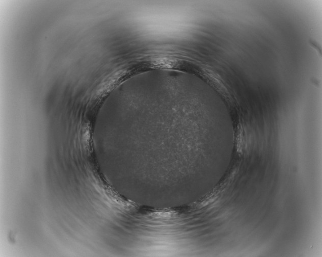 X0000102510314200808151553