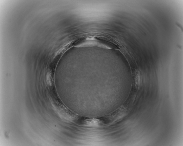 X0000102510316200808151553
