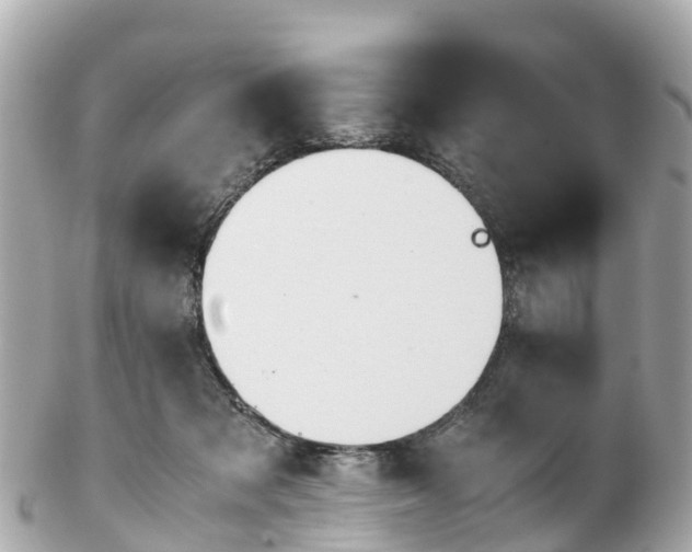 X0000102510317200808151553