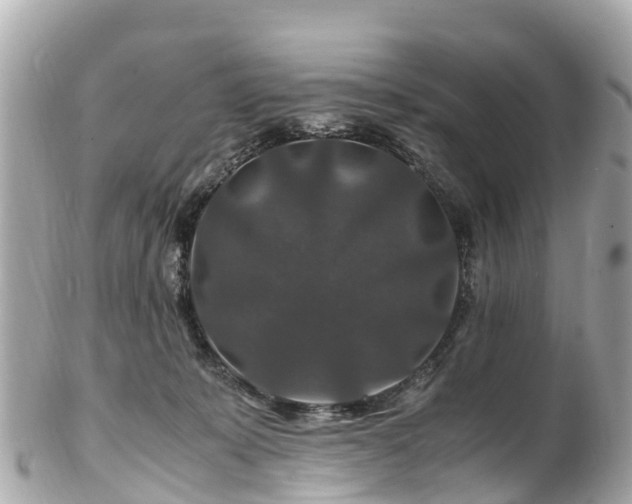 X0000102510319200808151553