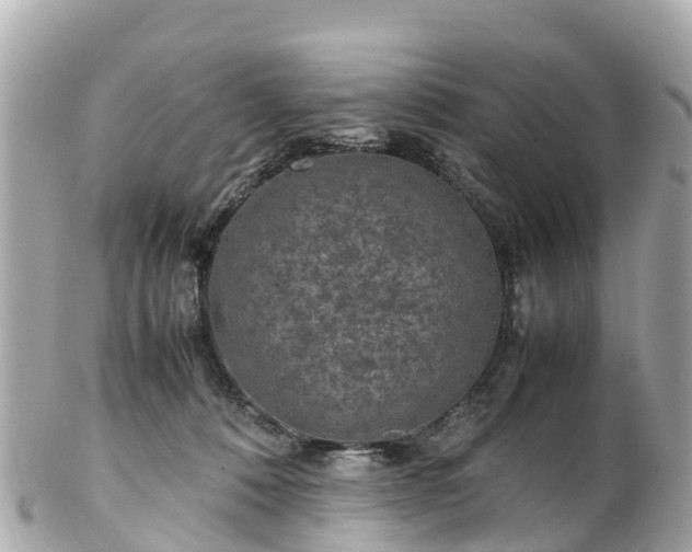 X0000102510320200808151553